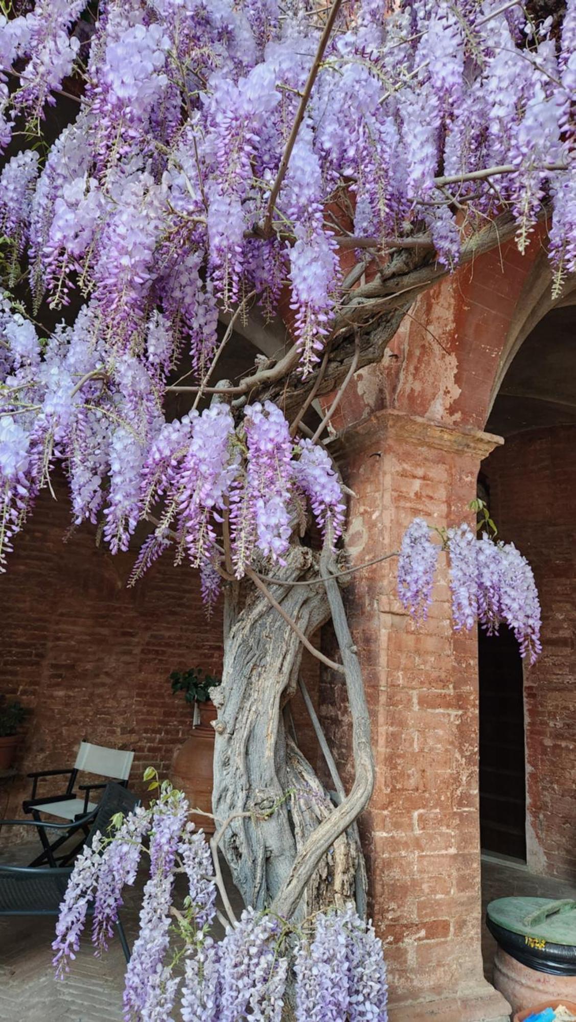Al Glicine Di Sant'Abondio Villa Siena Ngoại thất bức ảnh