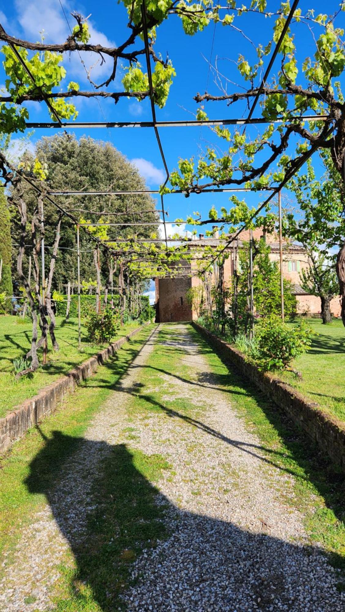 Al Glicine Di Sant'Abondio Villa Siena Ngoại thất bức ảnh