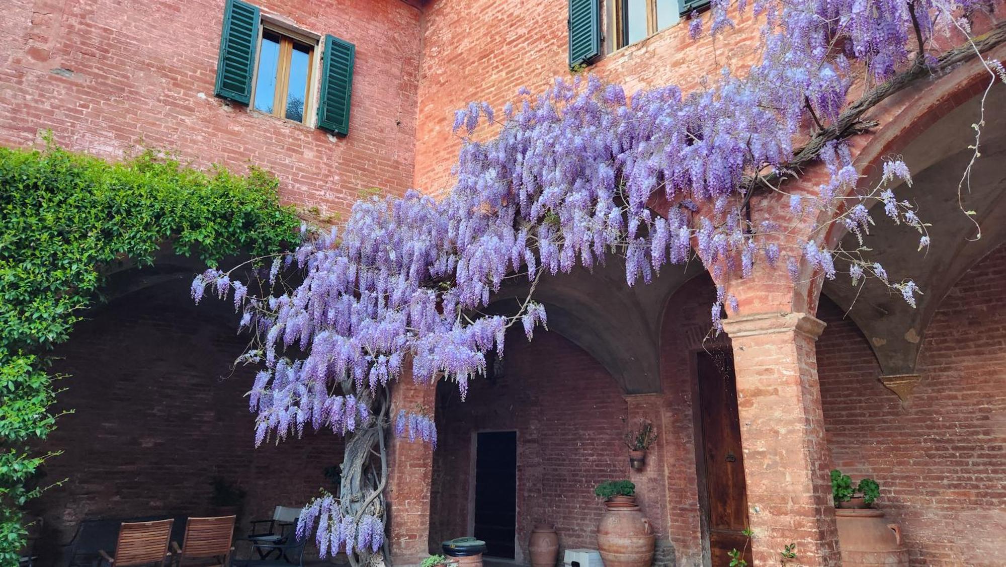 Al Glicine Di Sant'Abondio Villa Siena Ngoại thất bức ảnh